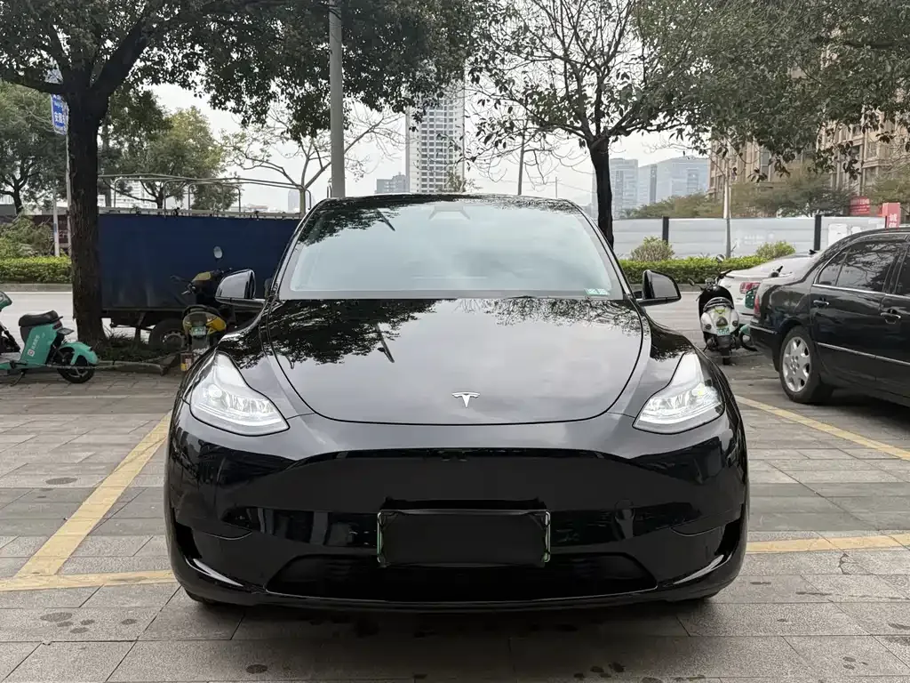 Tesla Model Y 2022 из CN, фото 4