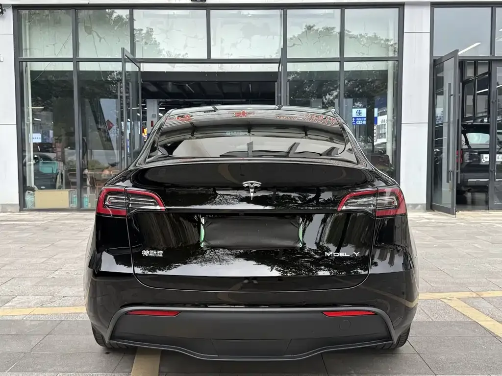 Tesla Model Y 2022 из CN, фото 6