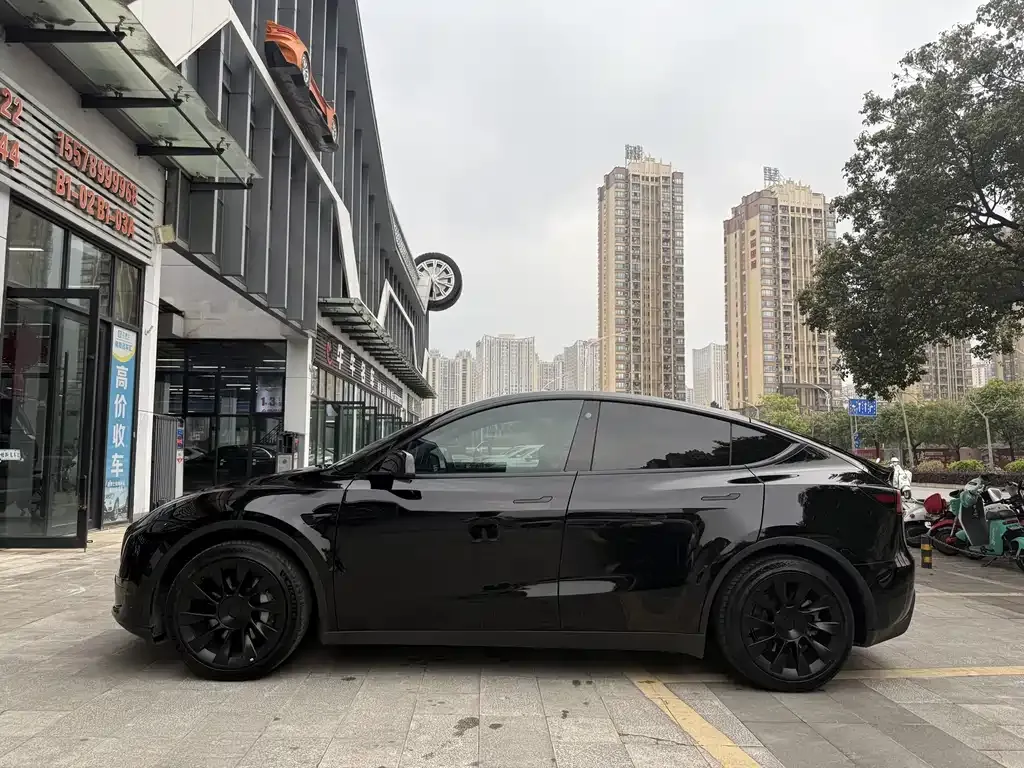 Tesla Model Y 2022 из CN, фото 9