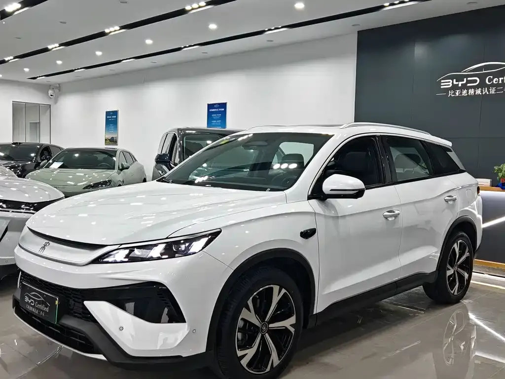 BYD Pro New Energy 2025 из CN, фото 1