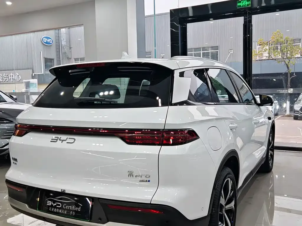 BYD Pro New Energy 2025 из CN, фото 8