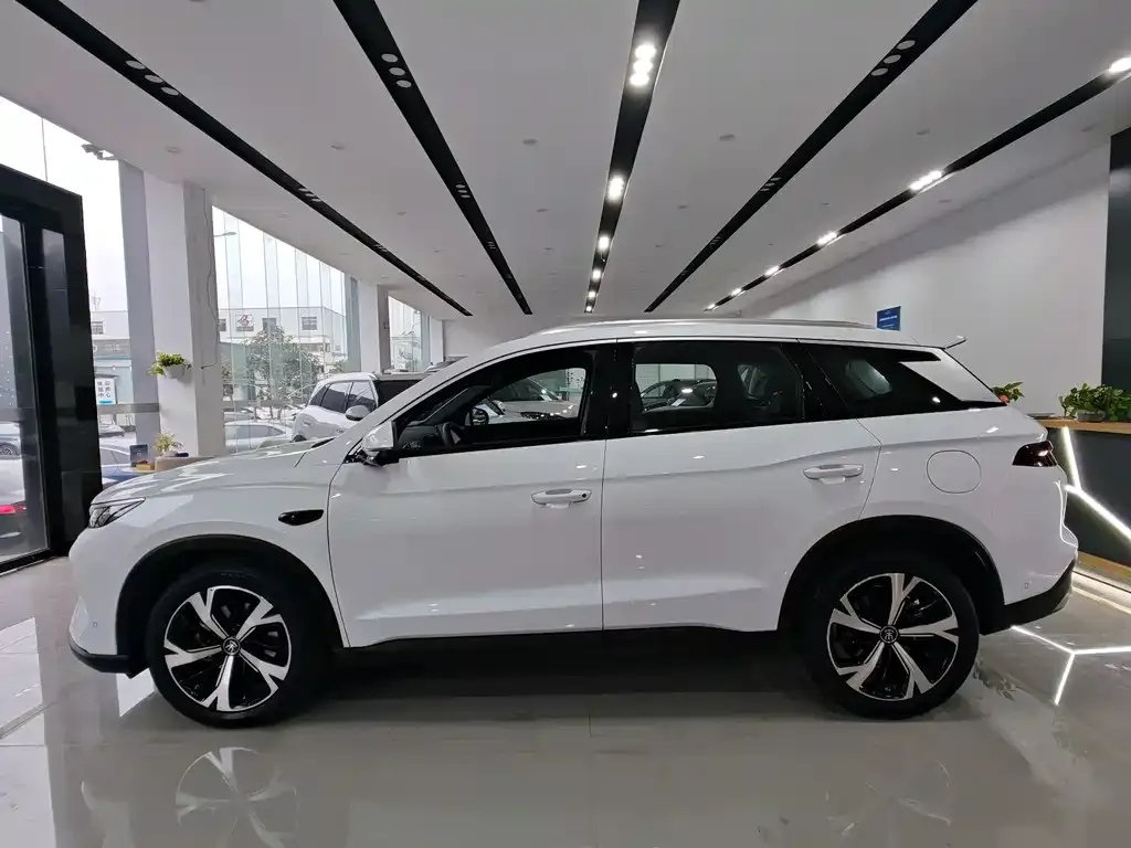 BYD Pro New Energy 2025 из CN, фото 3