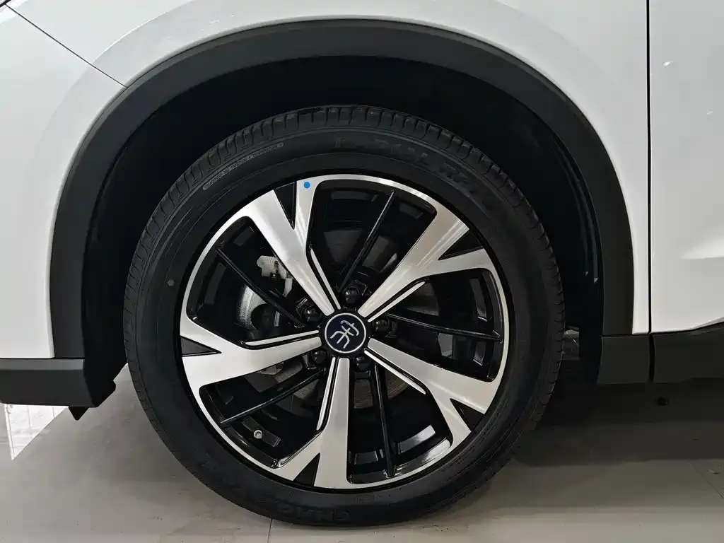 BYD Pro New Energy 2025 из CN, фото 5