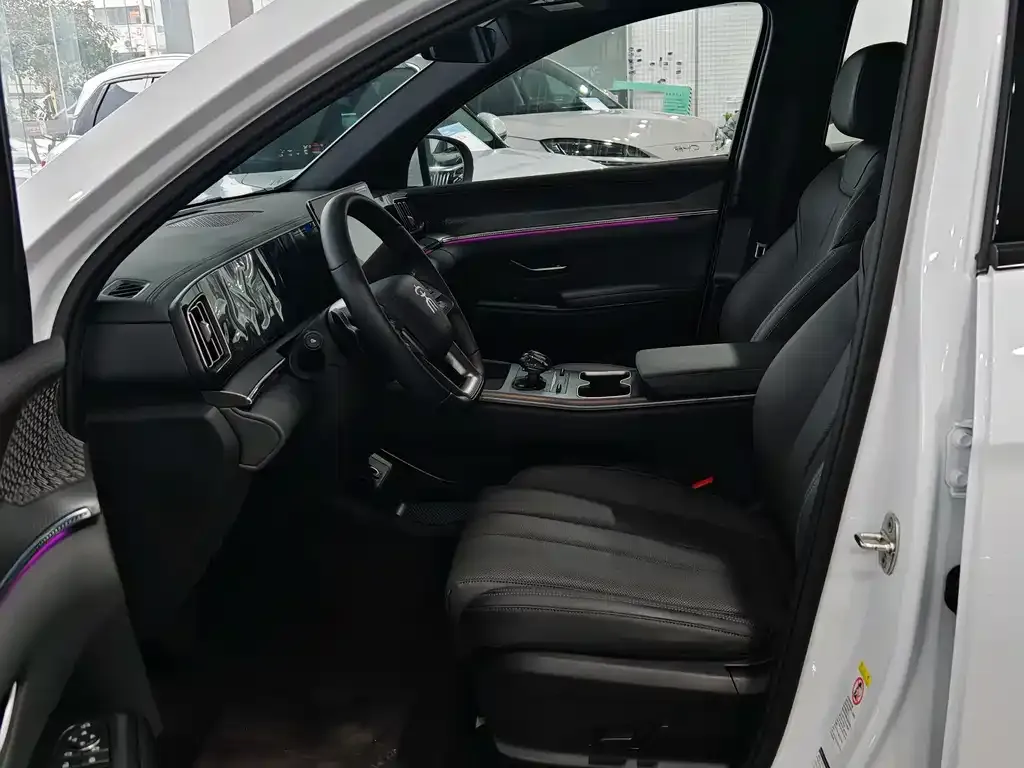 BYD Pro New Energy 2025 из CN, фото 4