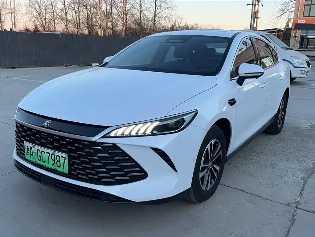 BYD Qin PLUS 2025 из CN, фото 1