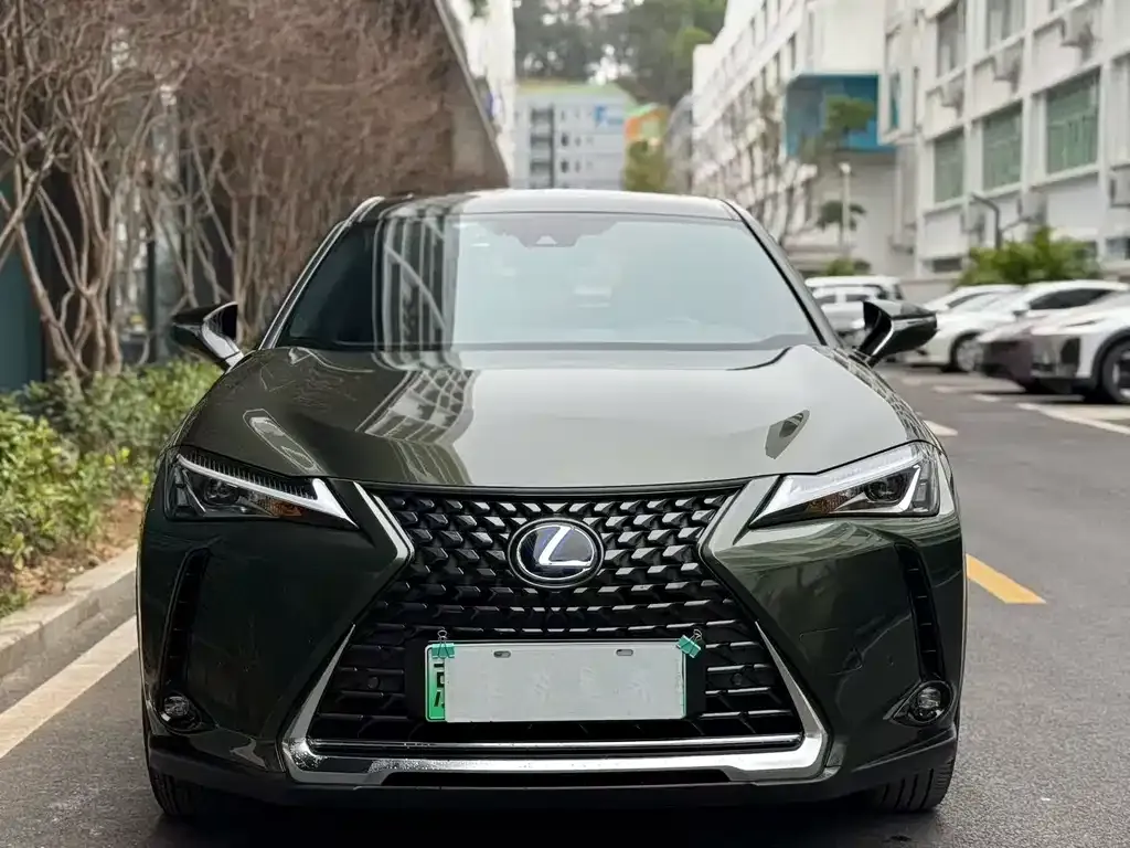 Lexus UX New Energy 2022 из CN, фото 1