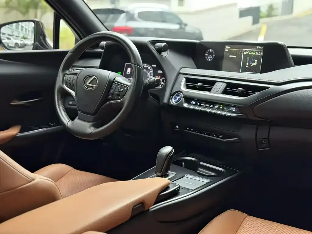Lexus UX New Energy 2022 из CN, фото 4