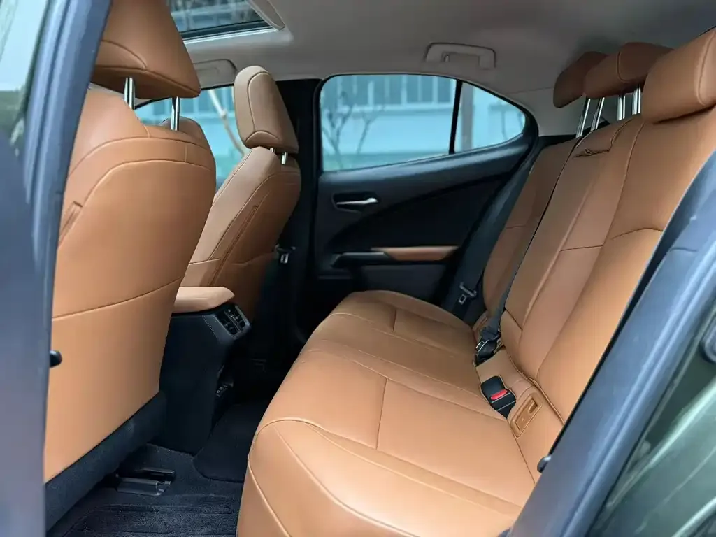 Lexus UX New Energy 2022 из CN, фото 2