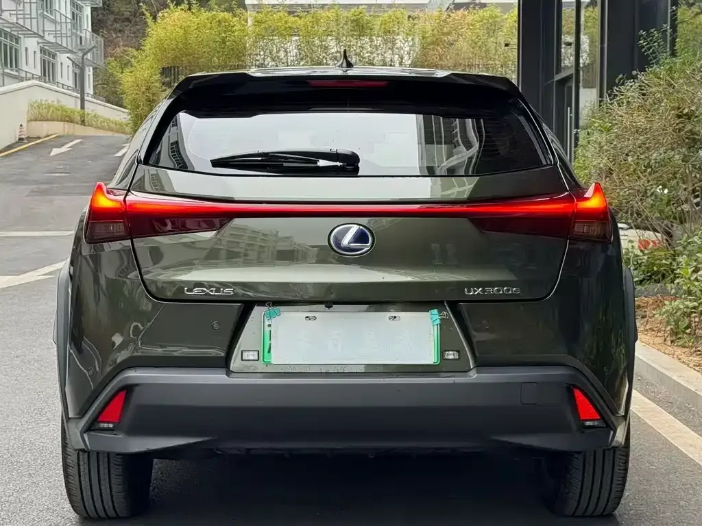 Lexus UX New Energy 2022 из CN, фото 8