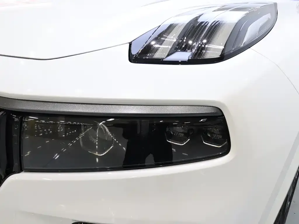 Lynk & Co 09 PHEV 2022 из CN, фото 4