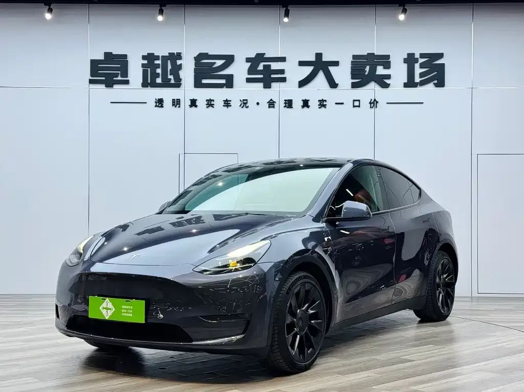 Tesla Model Y — фото 1