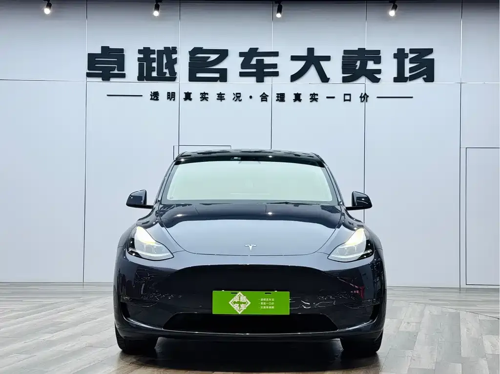 Tesla Model Y — фото 3