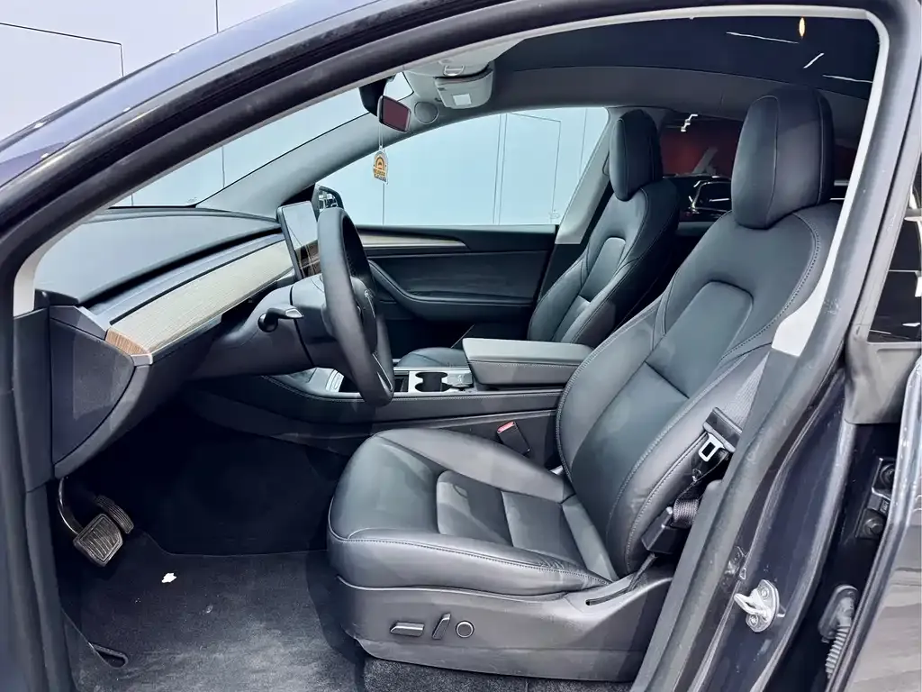 Tesla Model Y — фото 10