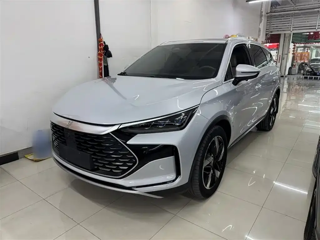 BYD Tang New Energy 2024 из CN, фото 2