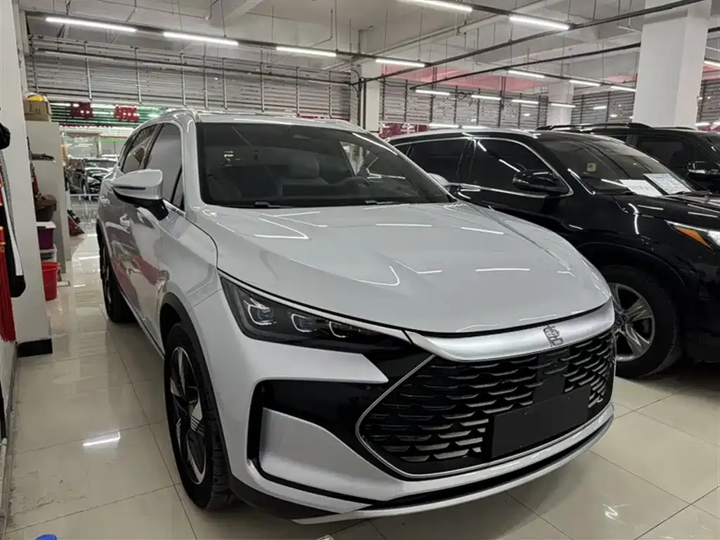 BYD Tang New Energy 2024 из CN, фото 10
