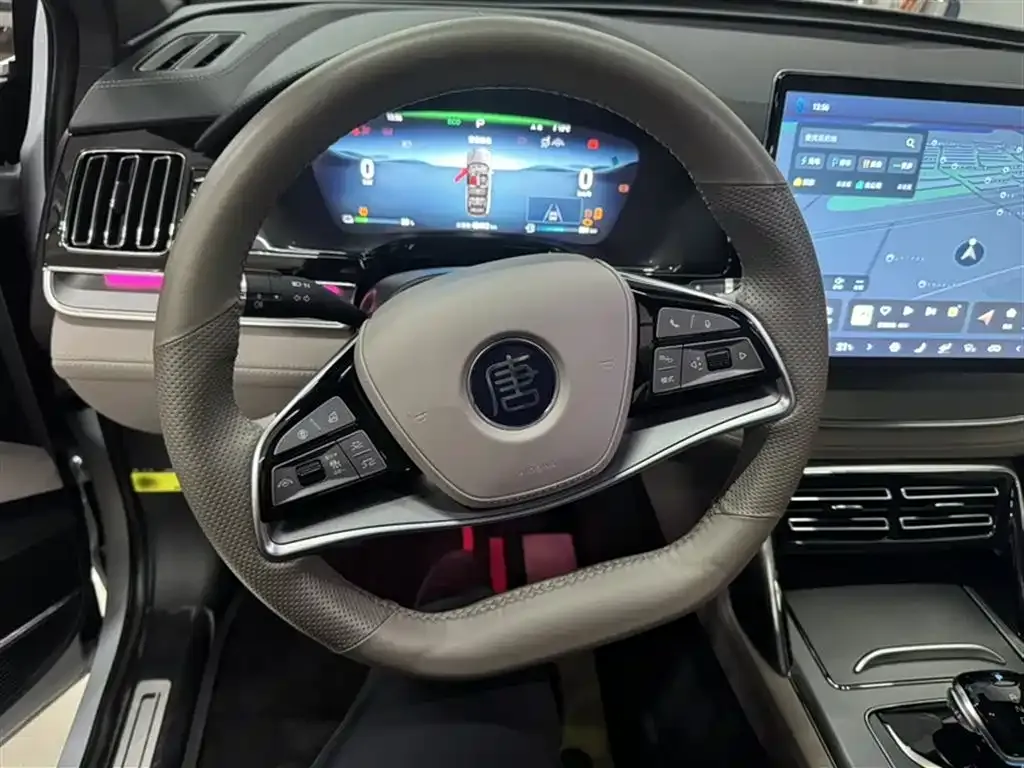 BYD Tang New Energy 2024 из CN, фото 8