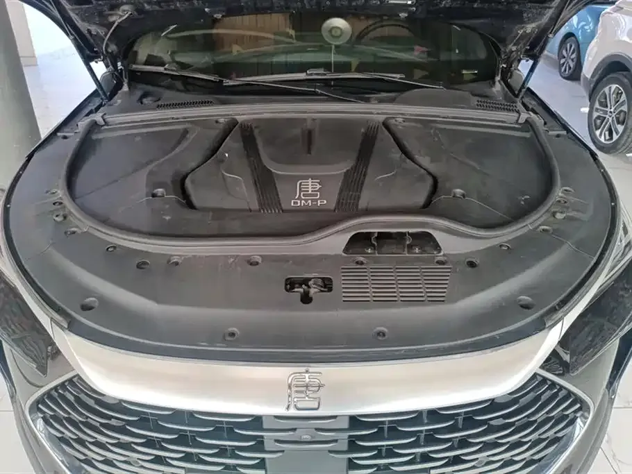 BYD Tang New Energy 2023 из CN, фото 9