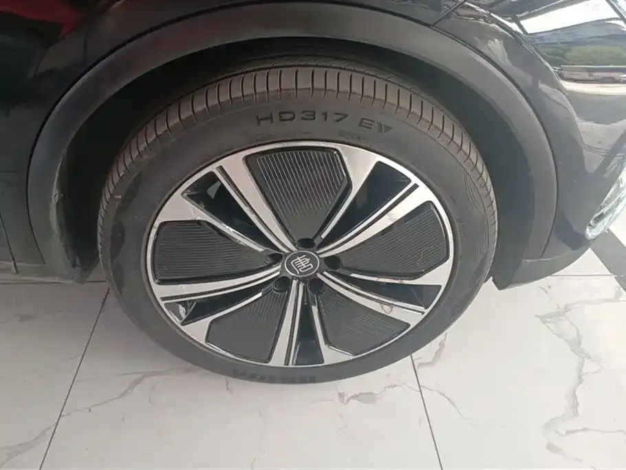 BYD Tang New Energy 2023 из CN, фото 10