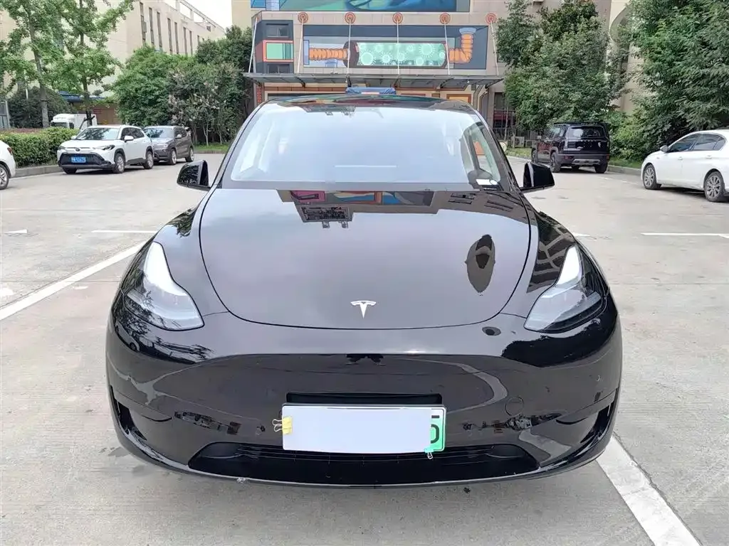 Tesla Model Y 2023 из CN, фото 4