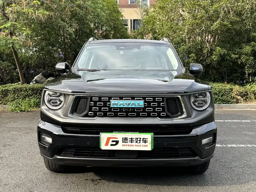Haval H7 (Big Dog Plus) New Energy — фото 9
