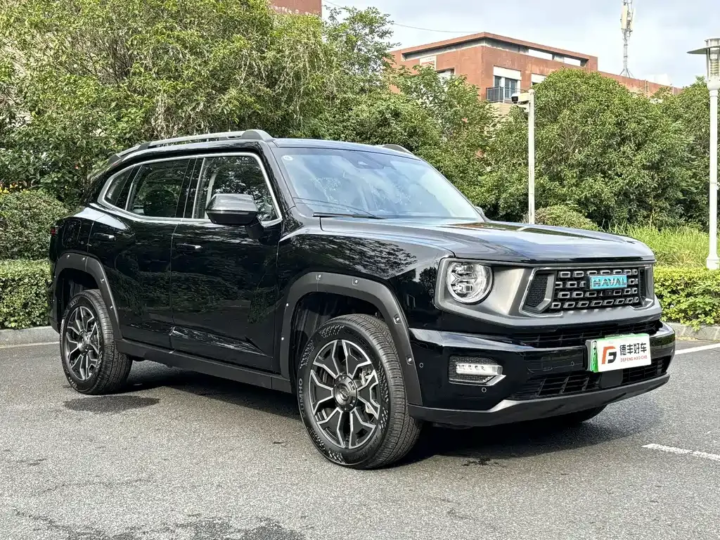 Haval H7 (Big Dog Plus) New Energy — фото 8