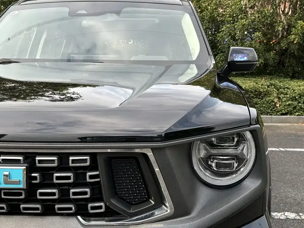 Haval H7 (Big Dog Plus) New Energy — фото 4