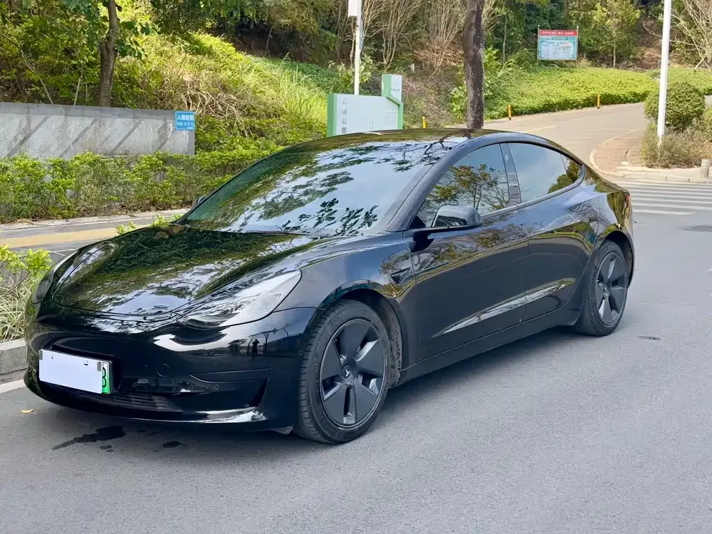 Tesla Model 3 2021 из CN, фото 1
