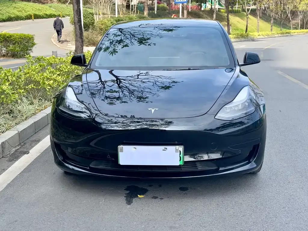Tesla Model 3 2021 из CN, фото 8