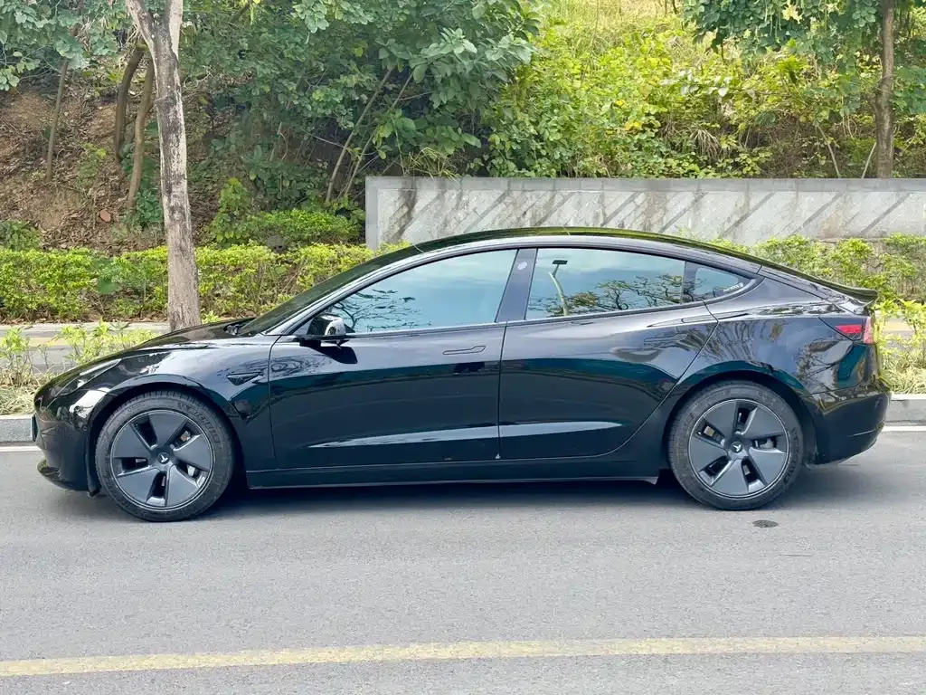 Tesla Model 3 2021 из CN, фото 10