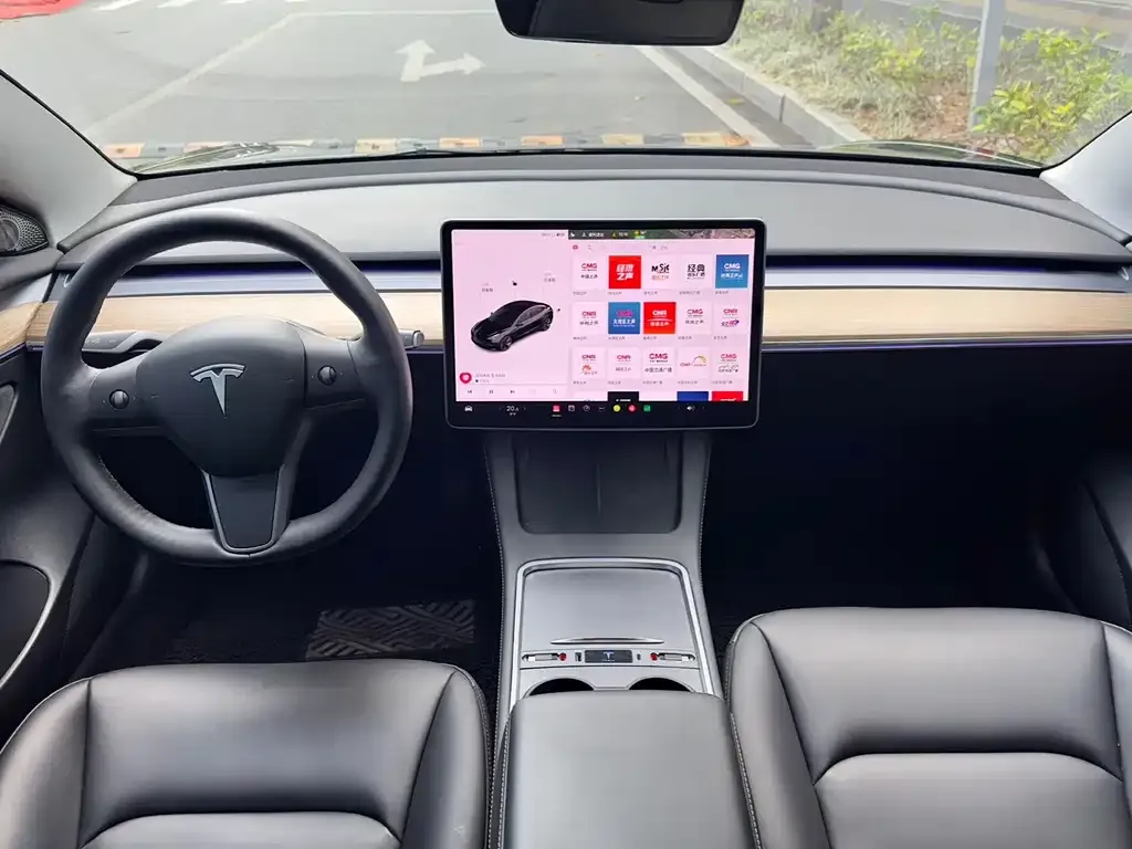 Tesla Model 3 2021 из CN, фото 3