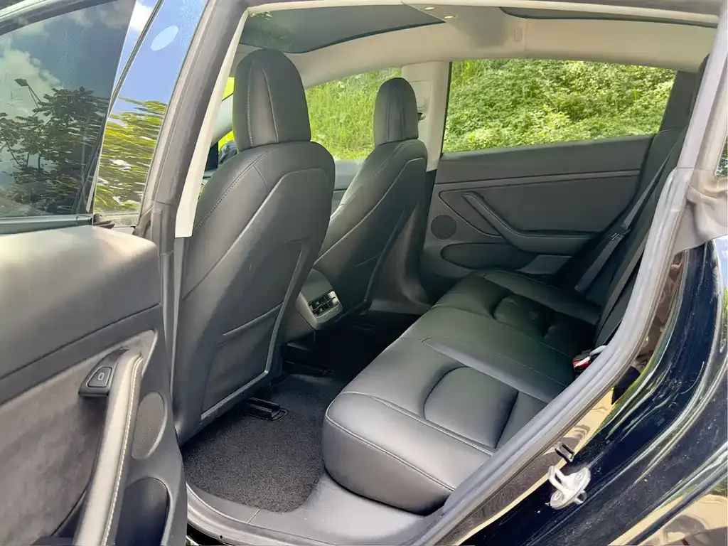 Tesla Model 3 2021 из CN, фото 6