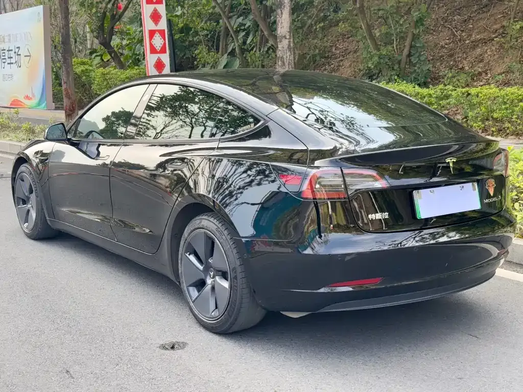 Tesla Model 3 2021 из CN, фото 7