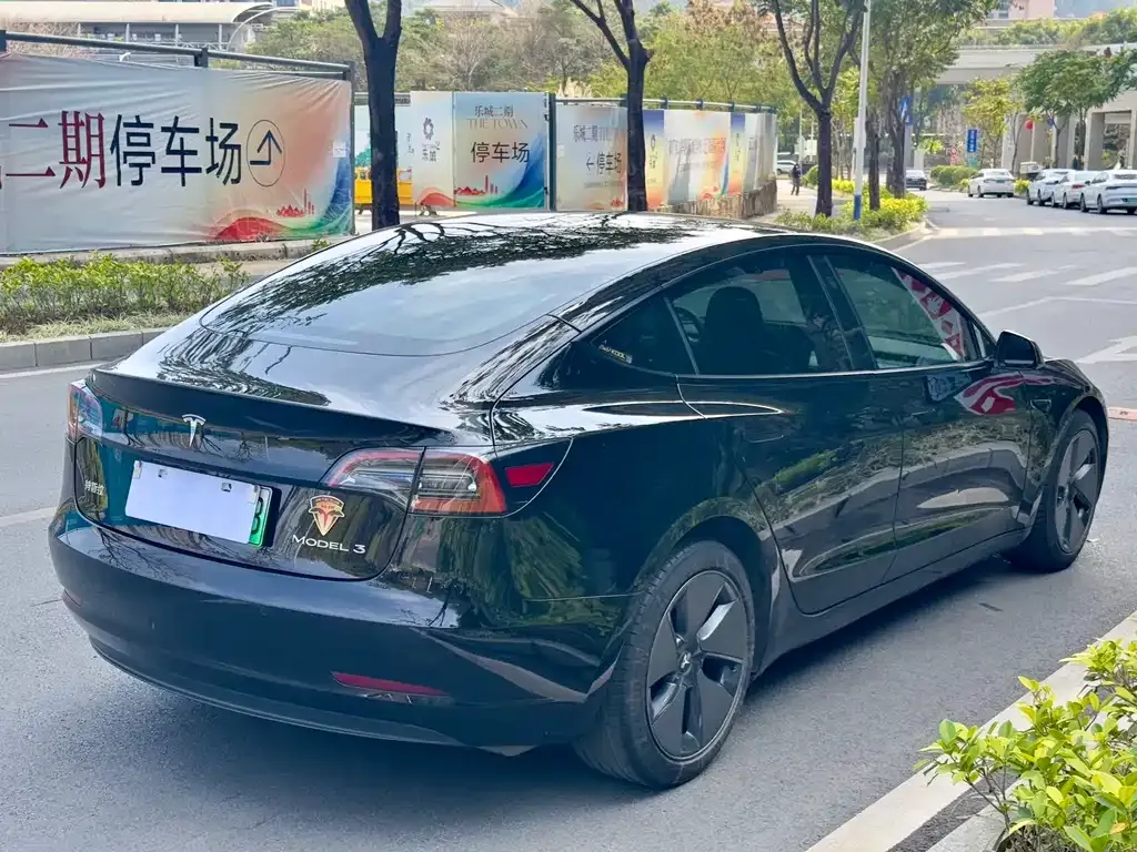 Tesla Model 3 2021 из CN, фото 9