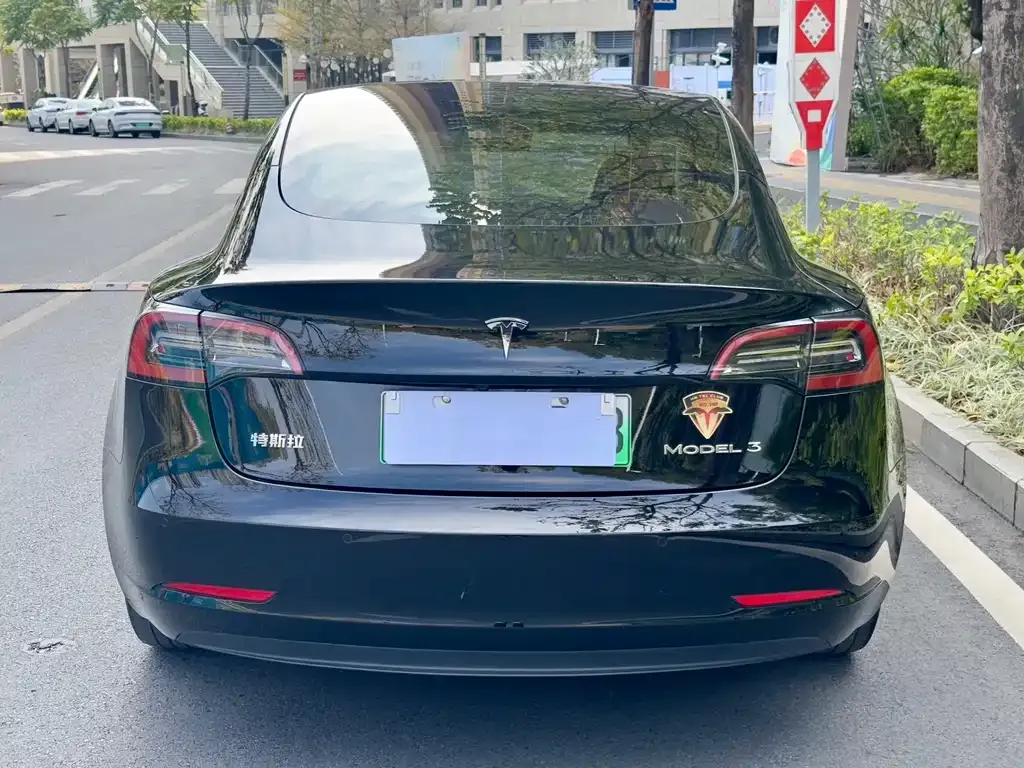 Tesla Model 3 2021 из CN, фото 4