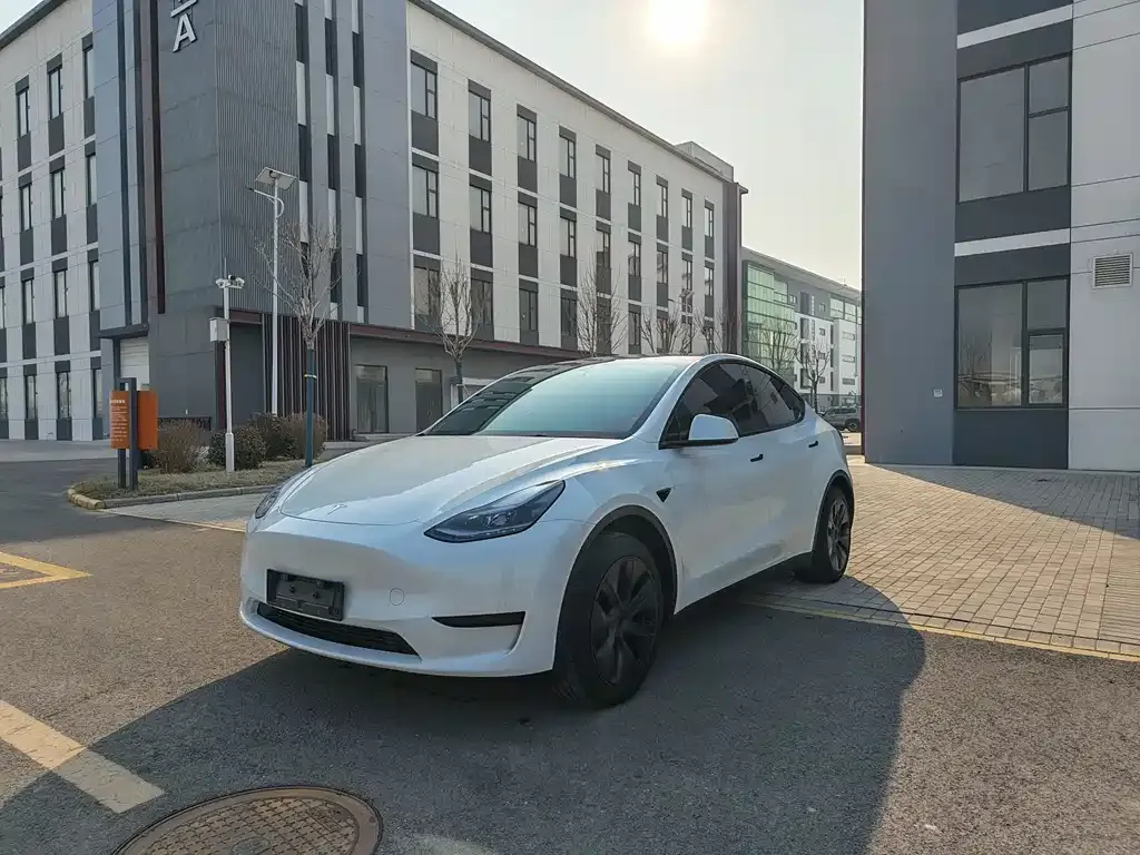 Tesla Model Y — фото 1