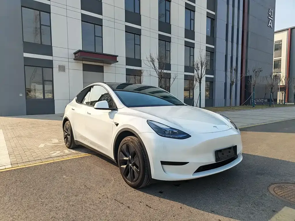 Tesla Model Y — фото 5
