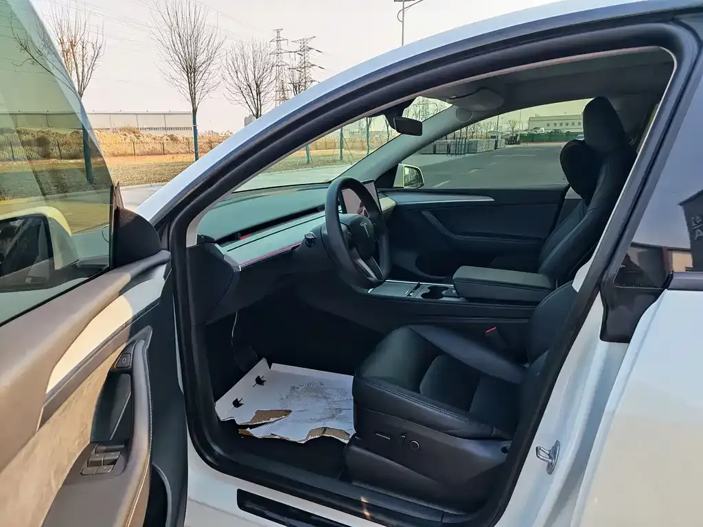 Tesla Model Y — фото 3