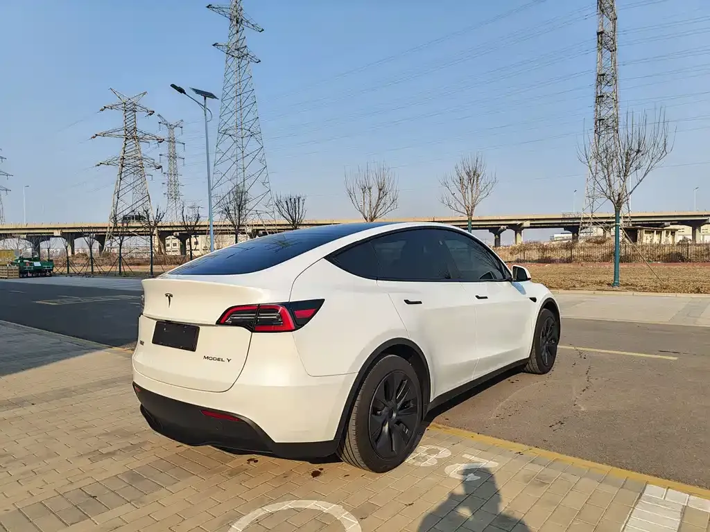Tesla Model Y — фото 8