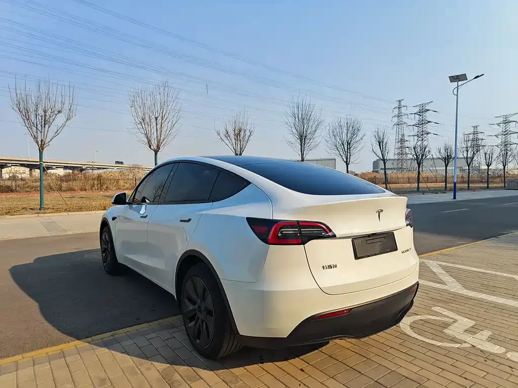 Tesla Model Y — фото 6