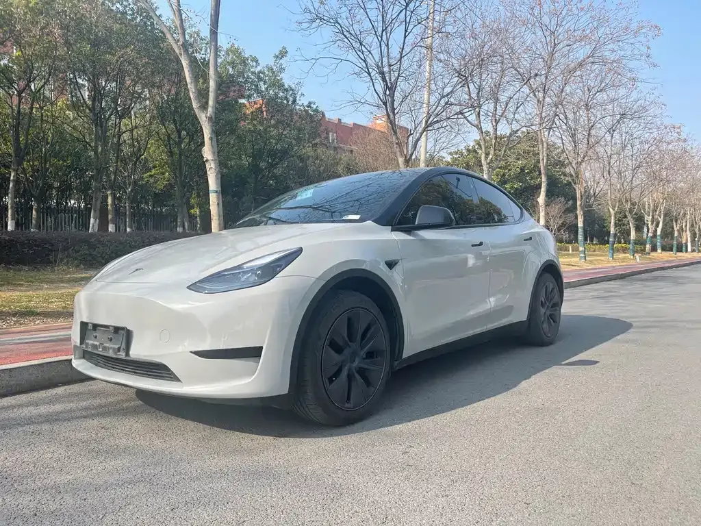 Tesla Model Y — фото 1