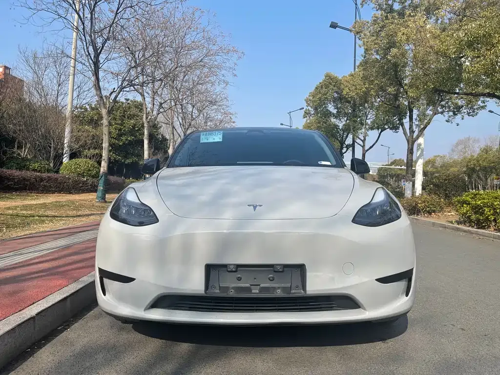 Tesla Model Y — фото 9
