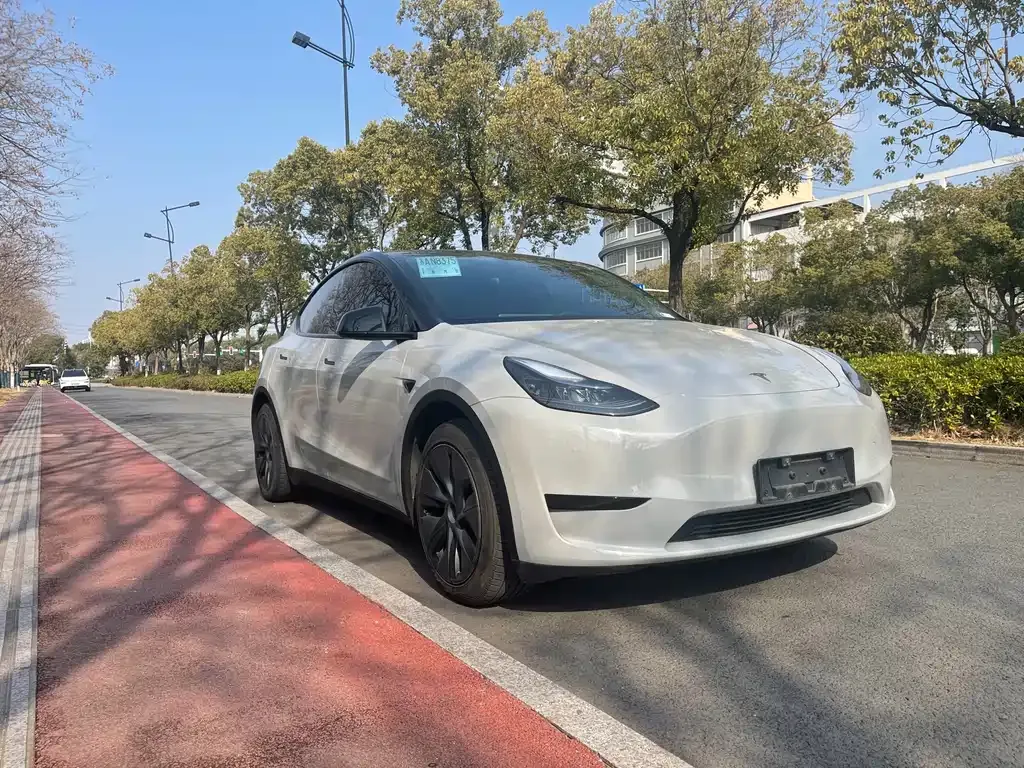 Tesla Model Y — фото 10