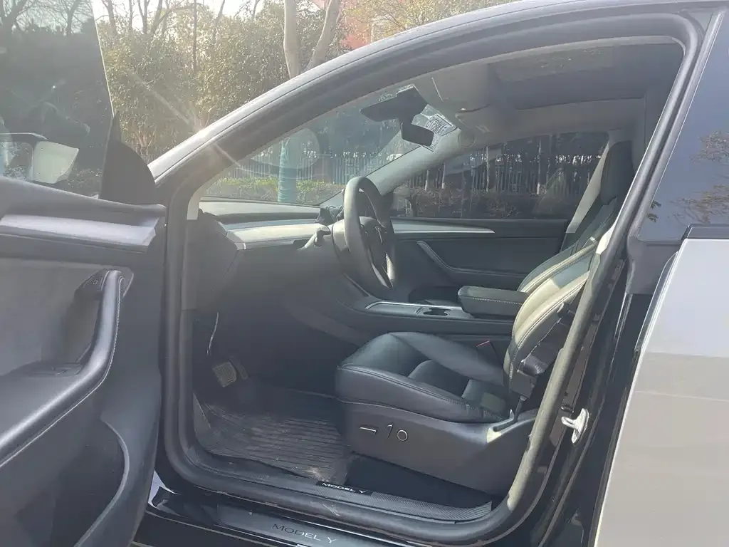 Tesla Model Y — фото 4