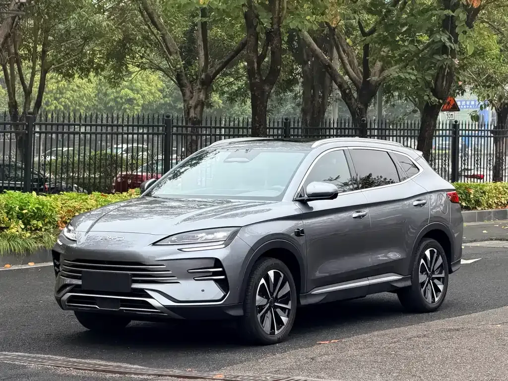BYD PLUS New Energy 2025 из CN, фото 1