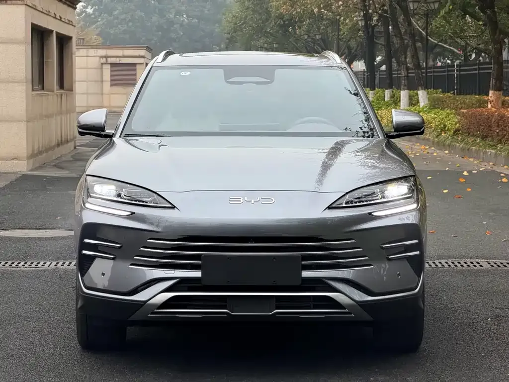 BYD PLUS New Energy 2025 из CN, фото 7