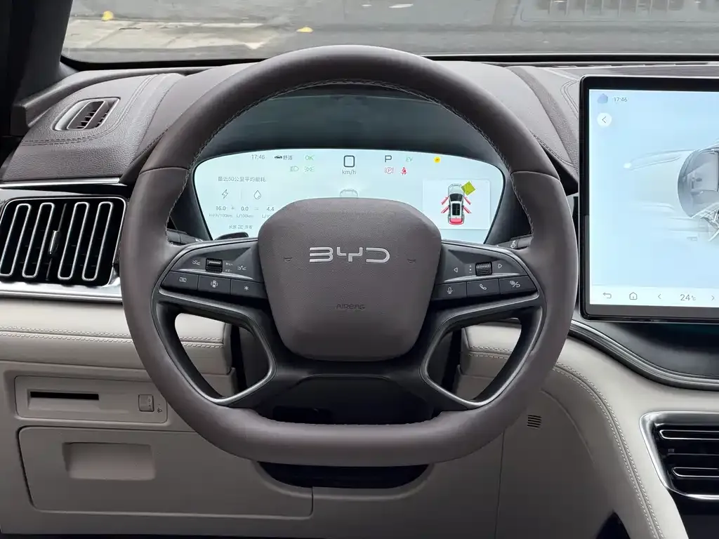 BYD PLUS New Energy 2025 из CN, фото 2