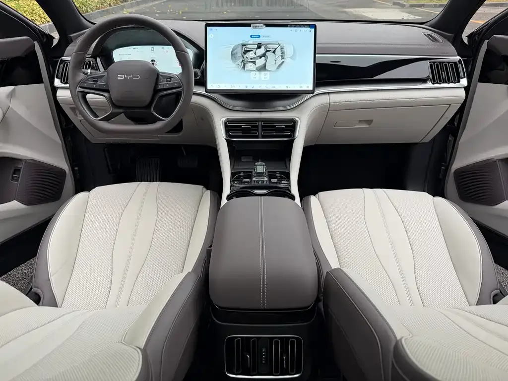 BYD PLUS New Energy 2025 из CN, фото 3