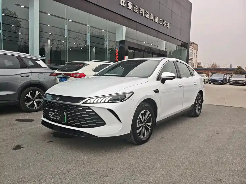 BYD Qin PLUS — фото 1