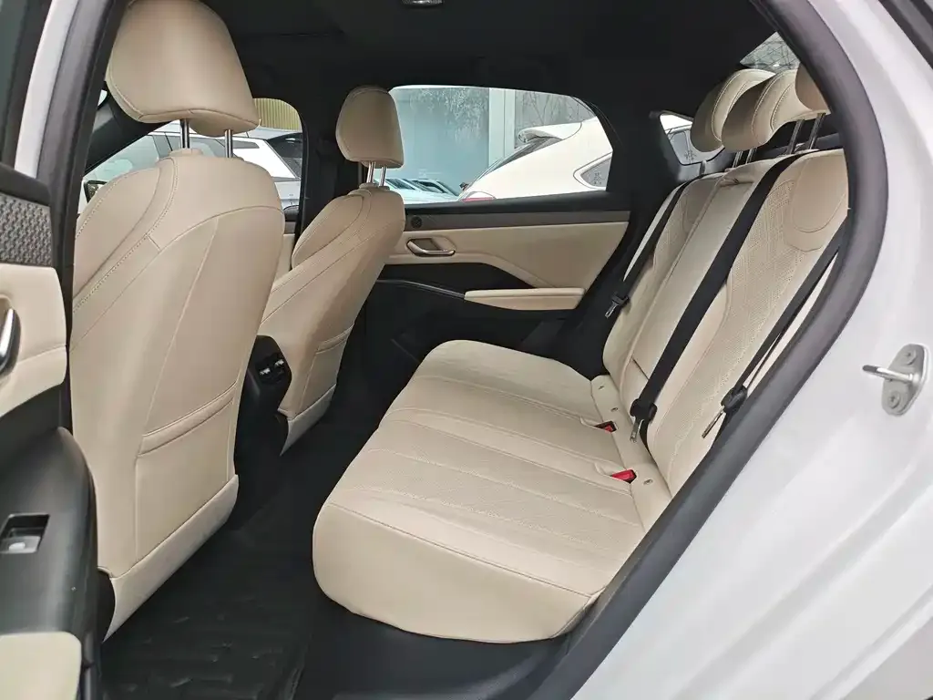 BYD Qin PLUS — фото 6
