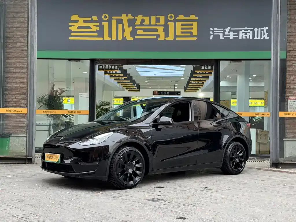 Tesla Model Y — фото 1
